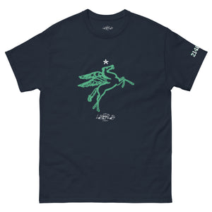 ‘PegasUS’ (Navy)
